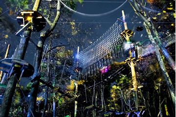 Picture of Night Time Zip & Climb