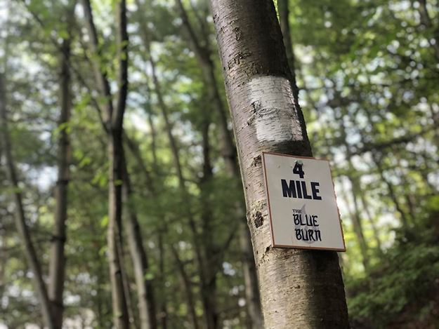 Picture of 2023 Season Trail Pass